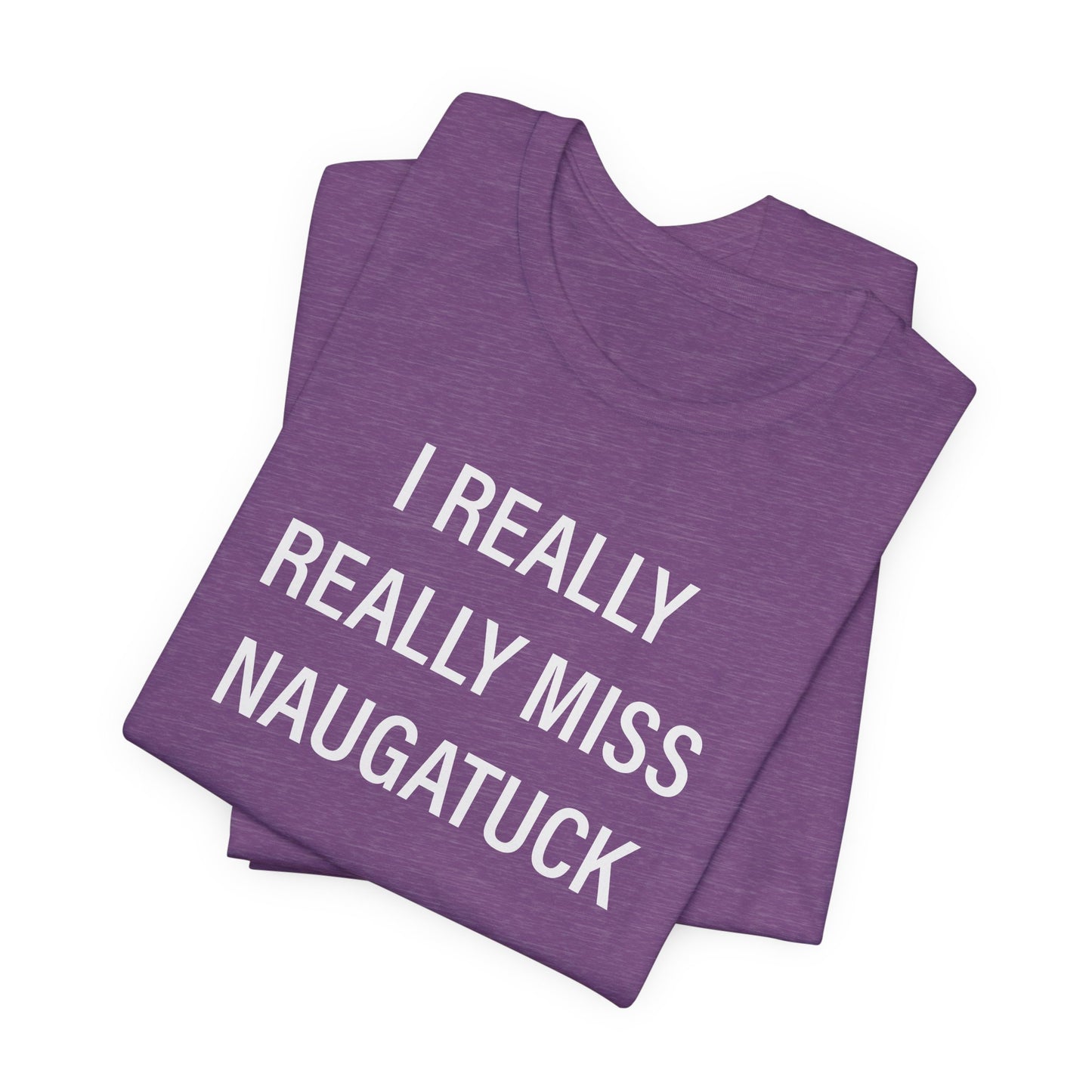 i really really miss naugatuck // naugatuck ct unisex t shirts  // finding connecticut  