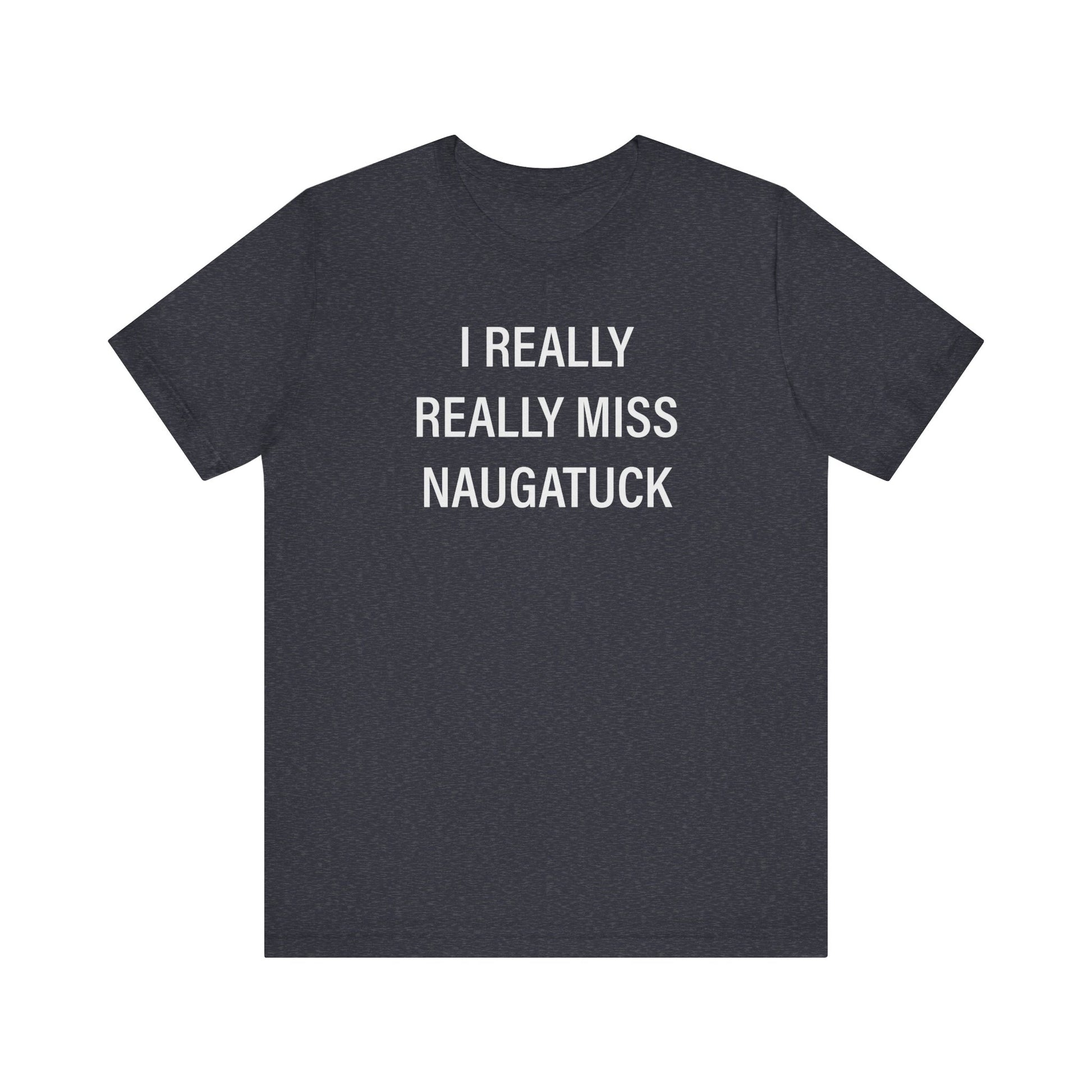 i really really miss naugatuck // naugatuck ct unisex t shirts  // finding connecticut  