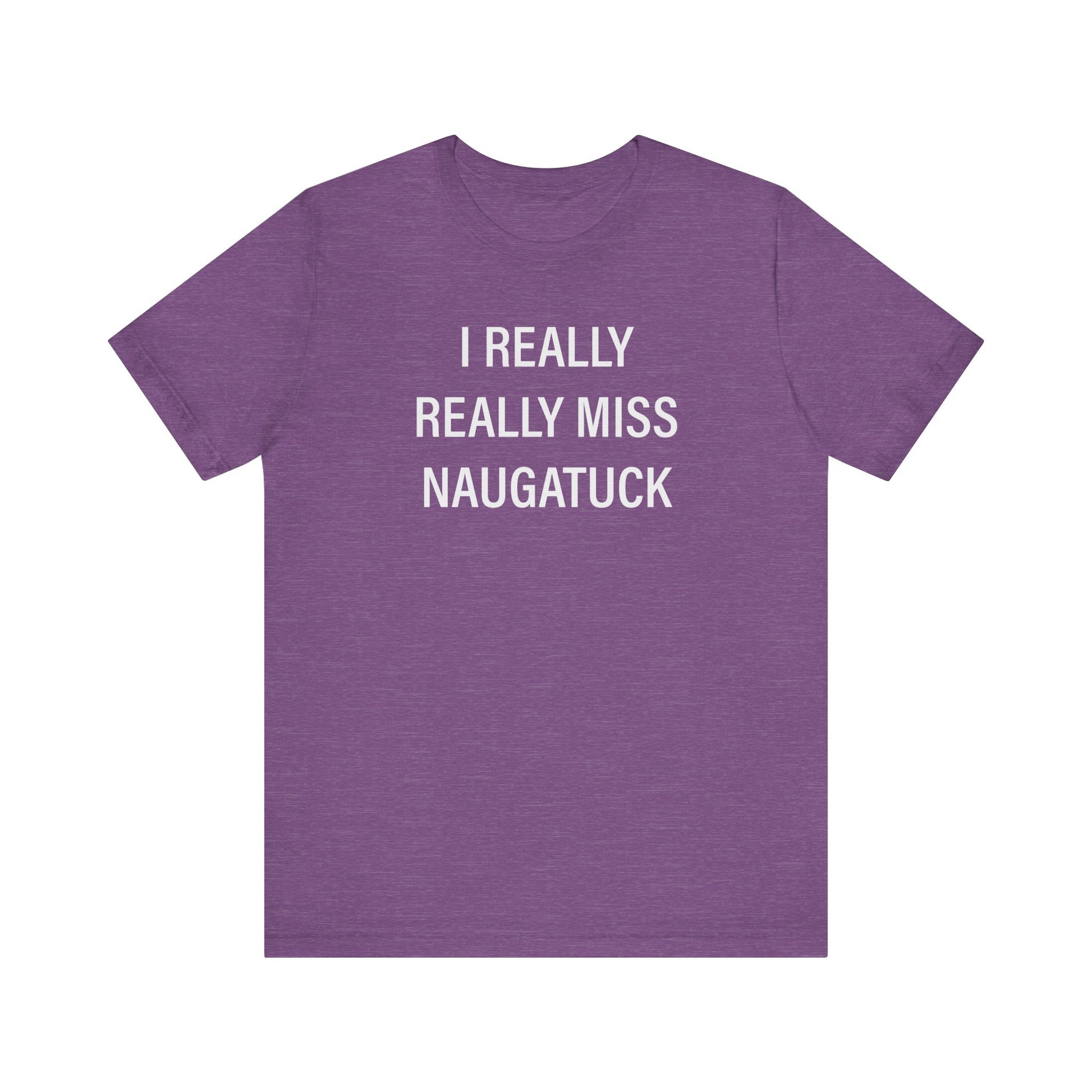 i really really miss naugatuck // naugatuck ct unisex t shirts  // finding connecticut  