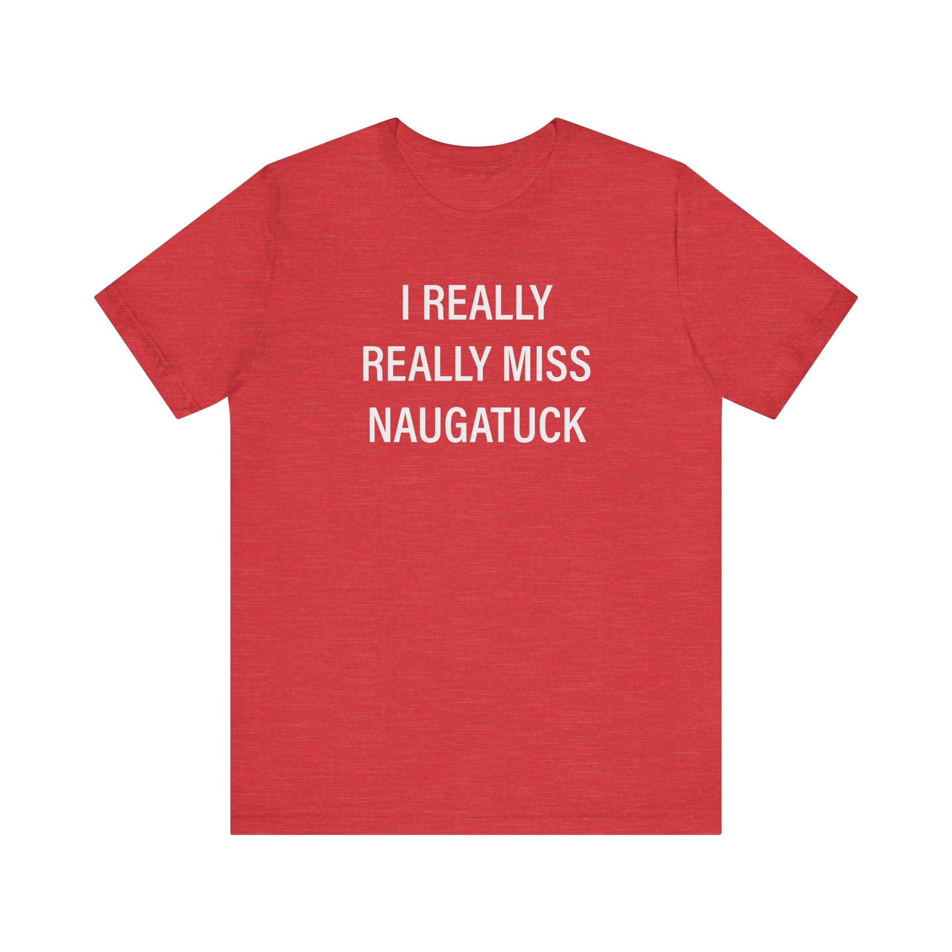 i really really miss naugatuck // naugatuck ct unisex t shirts  // finding connecticut  