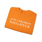 just a kid from Naugatuck // Naugatuck CT unisex sweatshirt // finding connecticut 