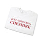just a kid from cheshire // cheshire connecticut sweatshirt // finding connecticut