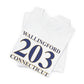 wallingford 203 Connecticut // Wallingford connecticut t shirt  // finding connecticut 