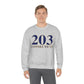 203 Connecticut Unisex Heavy Blend™ Crewneck Sweatshirt