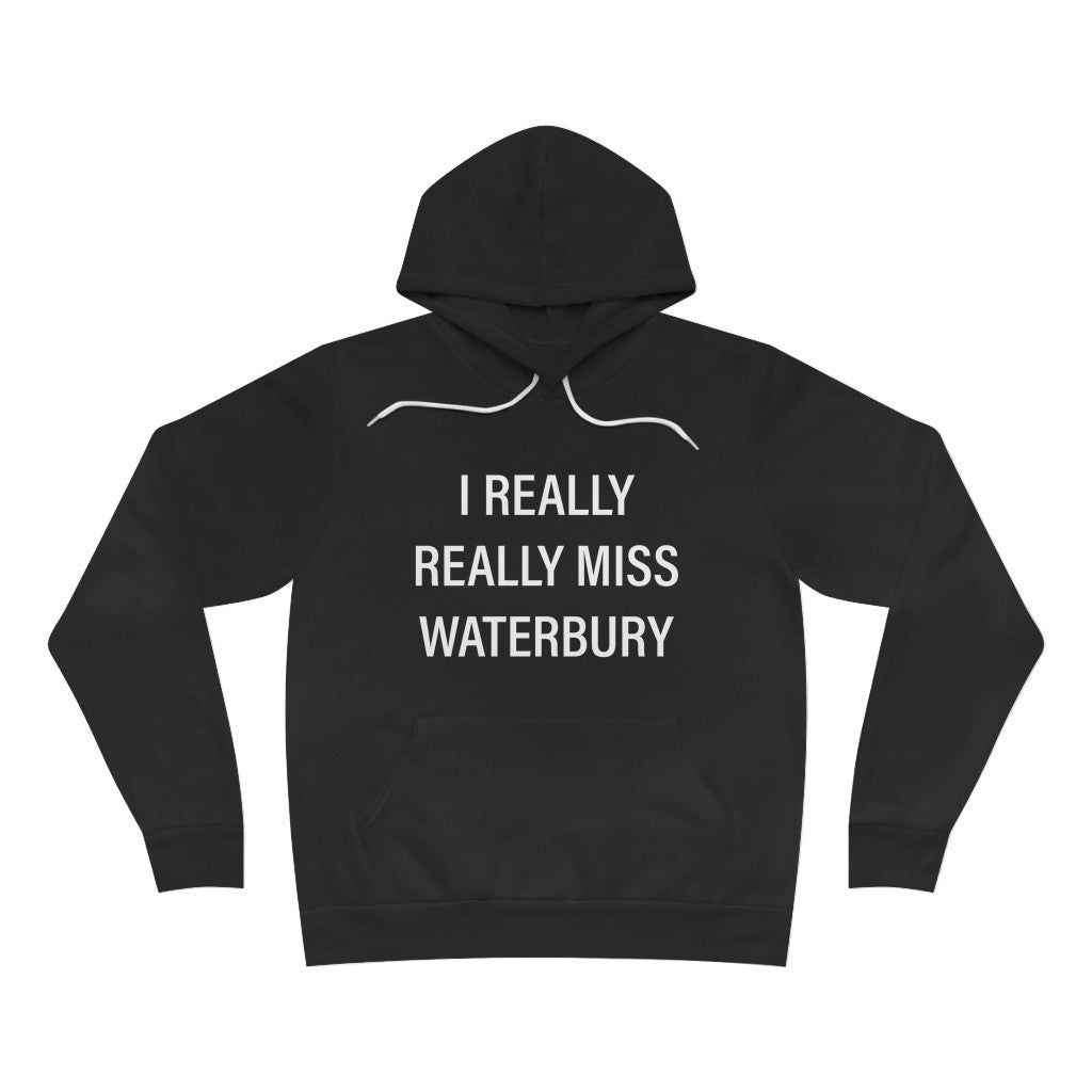 I Really Really Miss Waterbury Unisex Sponge Fleece Pullover Hoodie