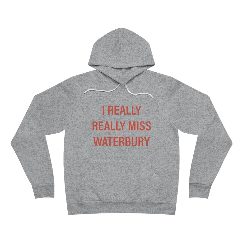 I really really miss Waterbury Unisex Sponge Fleece Pullover Hoodie