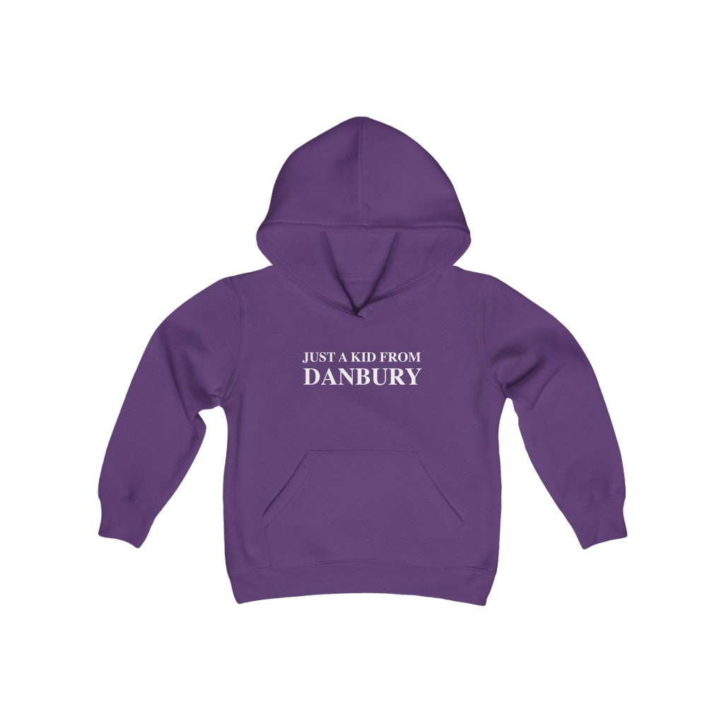 just a kid from danbury kids hoodie