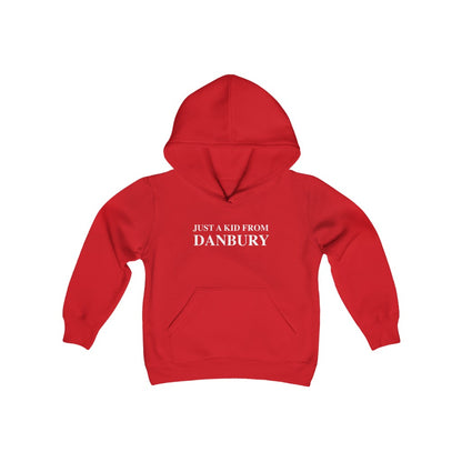 Just a kid from danbury childrens youth kids sweatshirt