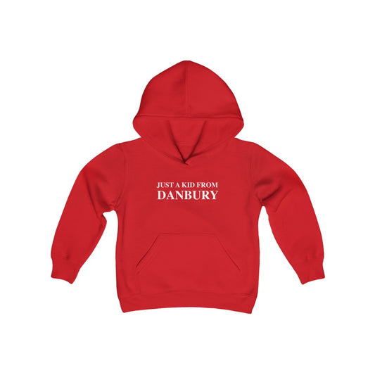 Just a kid from danbury childrens youth kids sweatshirt