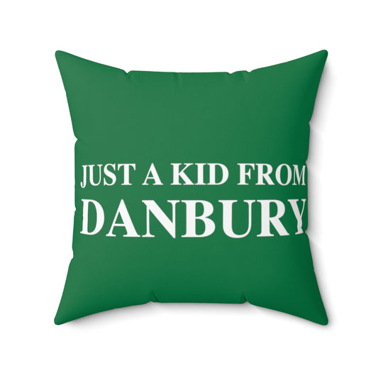 danbury  ct / connecticut pillow