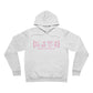 darien ct / connecticut unisex hoodie 