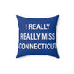 ct / conencticut pillow and home decor 