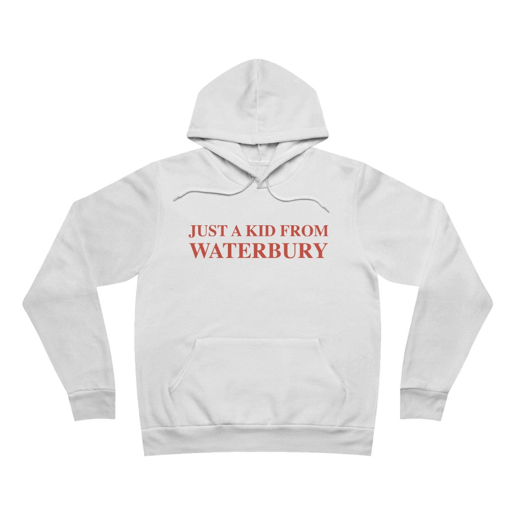 Just a kid from Waterbury Unisex Sponge Fleece Pullover Hoodie