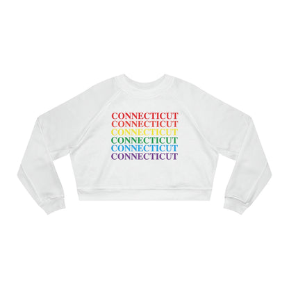 ct / connecticut womens sweatshirt 