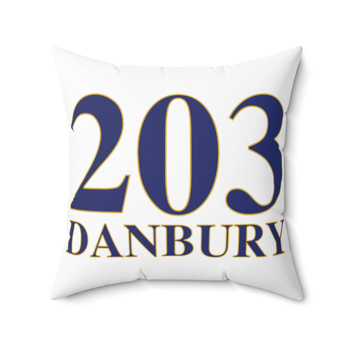 203 danbury ct pillow