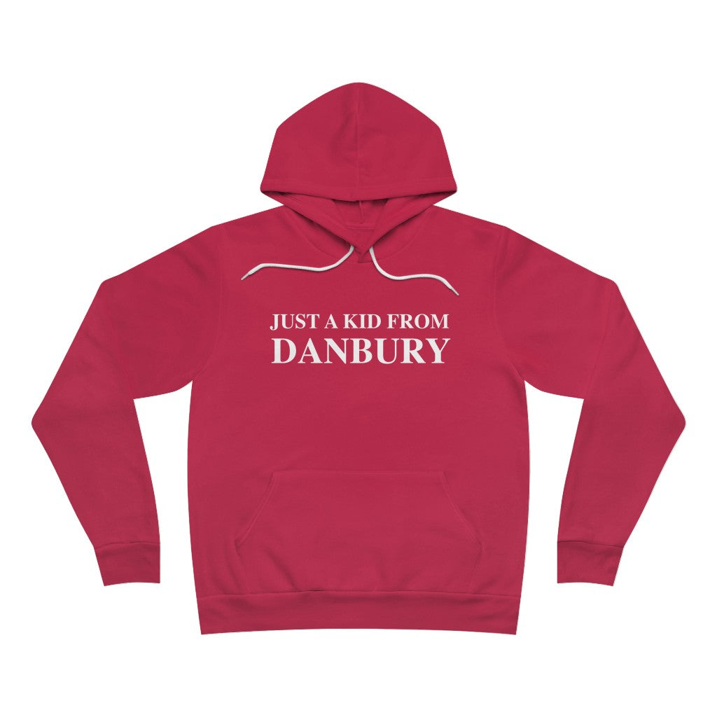 just a kid from Danbury unisex hooded sweatshirt hoodie