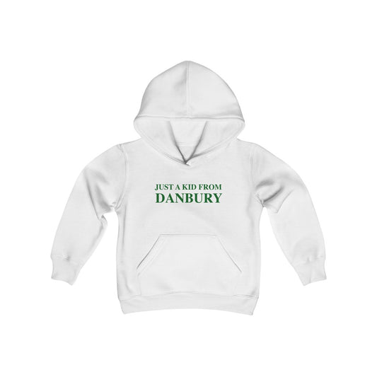 just a kid from danbury childrens, youth, kids hooded sweatshirt hoodie