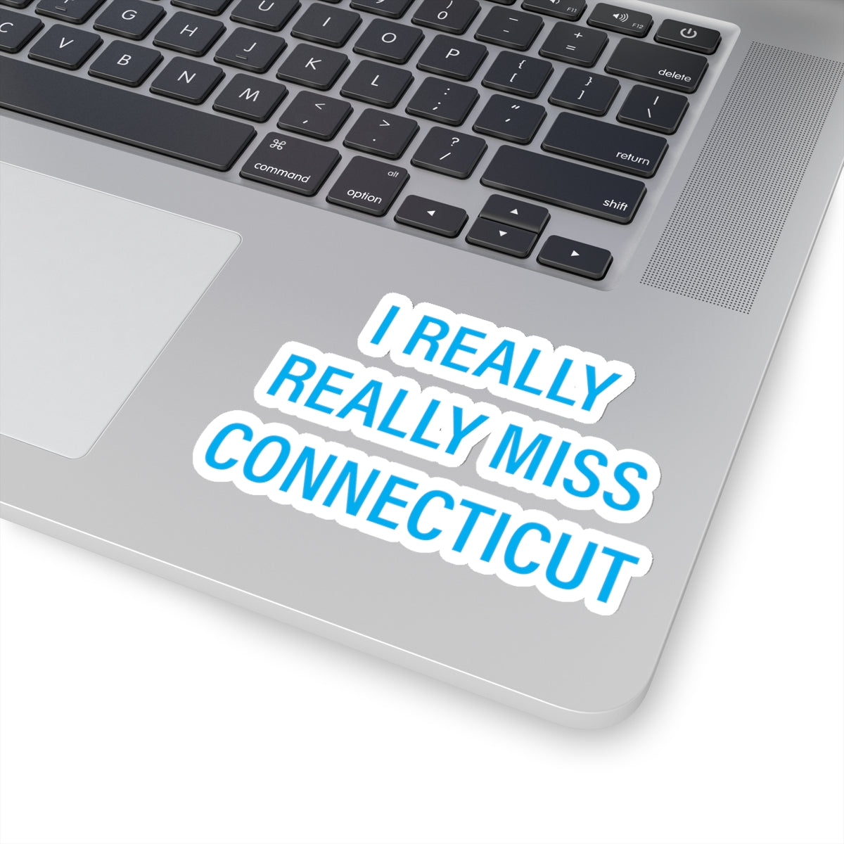 ct / connecticut sticker 