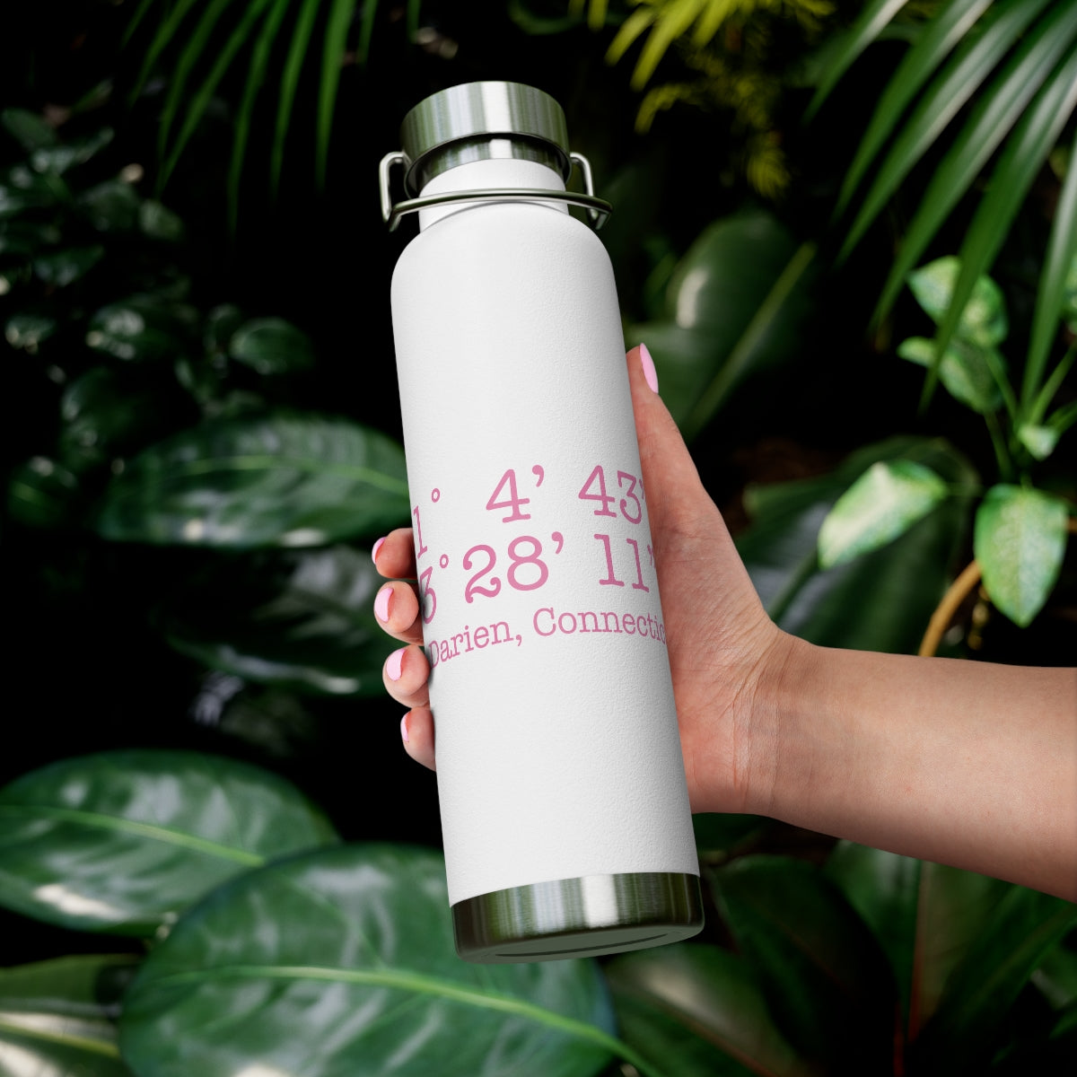 Darien Coordinates 22oz Vacuum Insulated Bottle