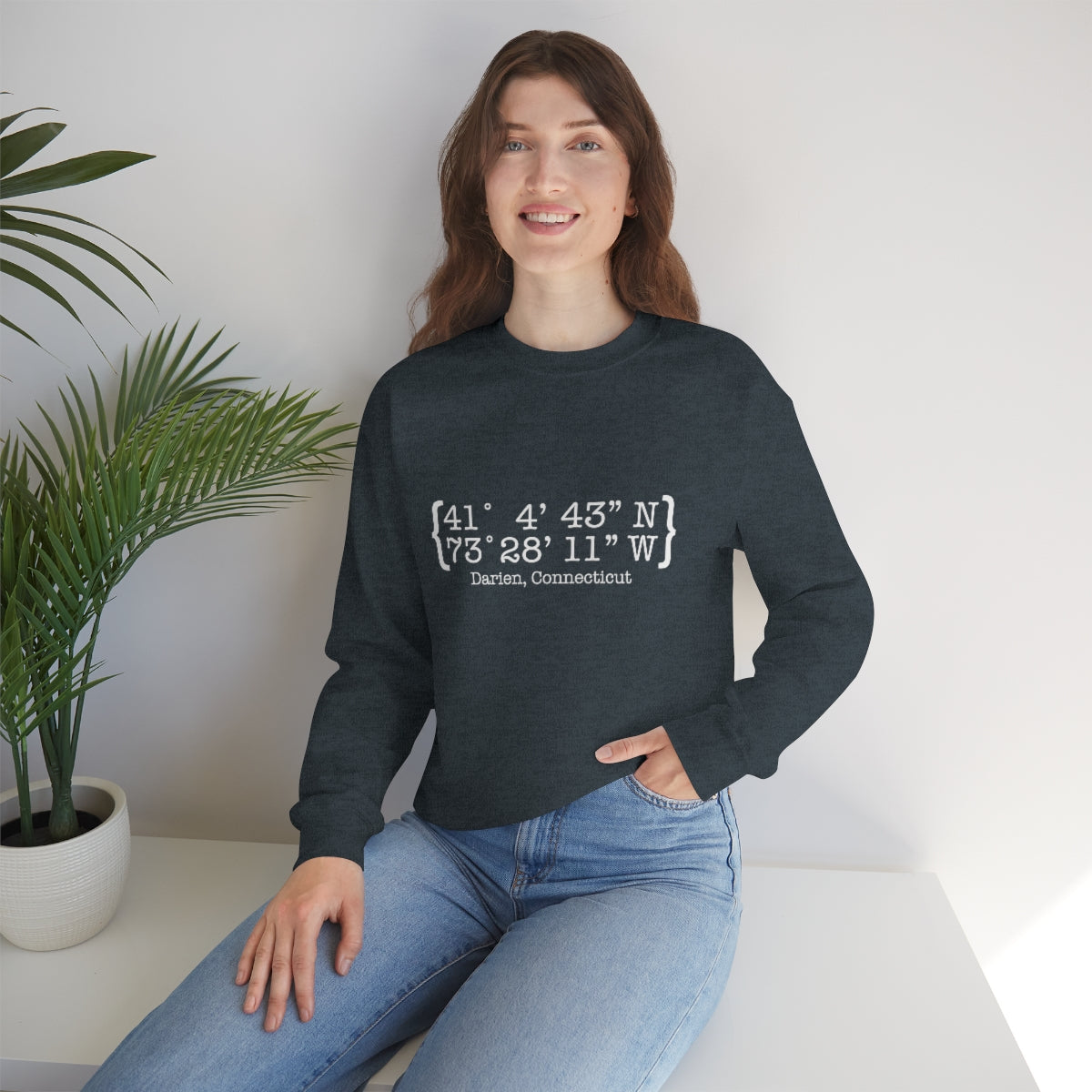 Darien Coordinates Unisex Heavy Blend™ Crewneck Sweatshirt