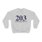 connecticut unisex sweatshirt 
