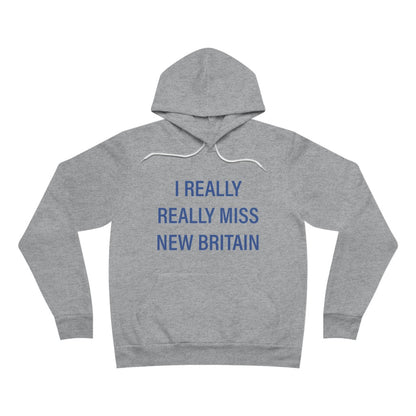 I Really Really Miss New Britain Unisex Sponge Fleece Pullover Hoodie