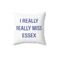 essex connecticut pillows 