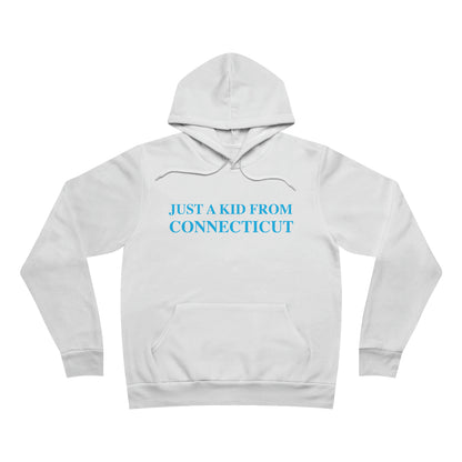 Connecticut hoodie. ct / connecticut hooded sweatshirt hoodie 