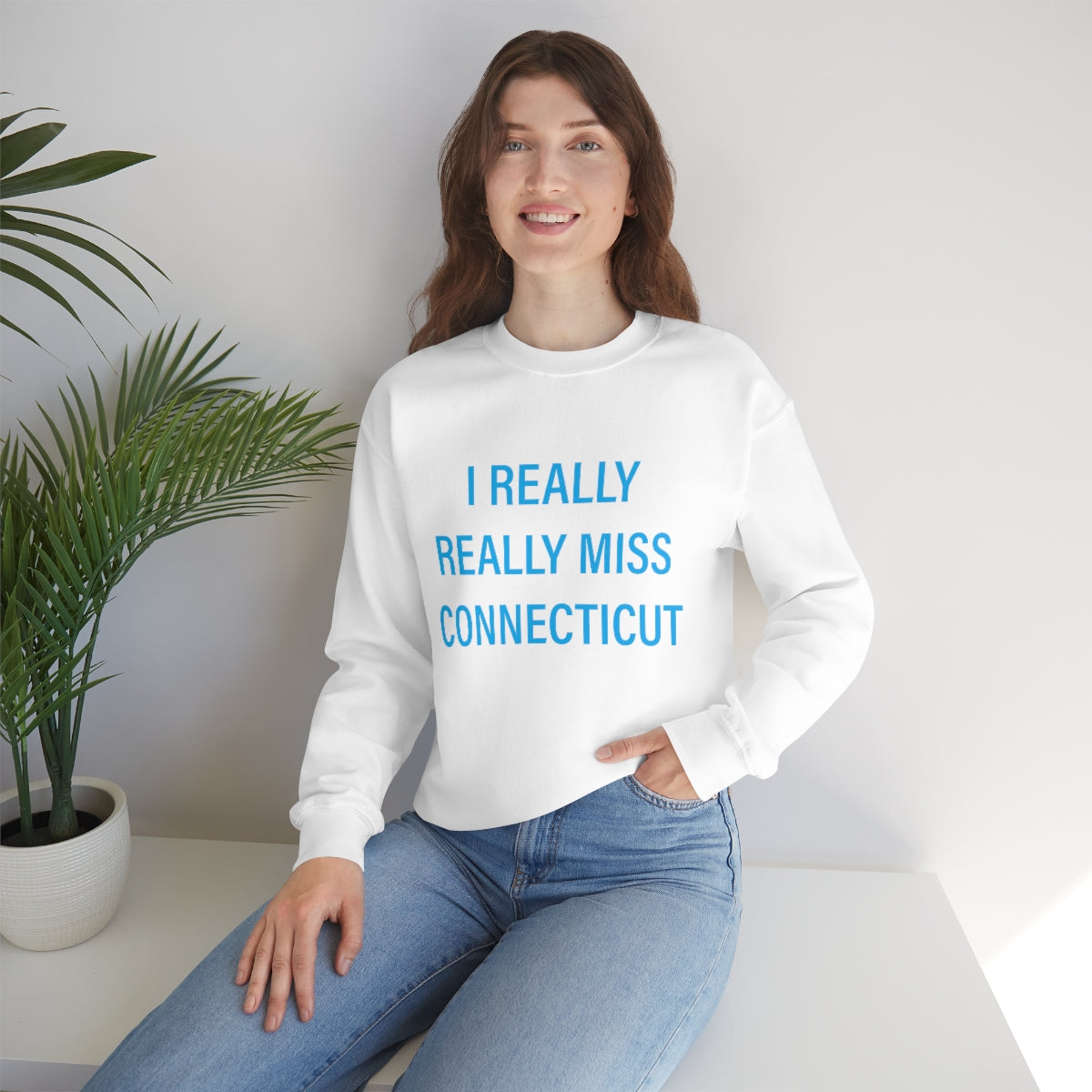 I Really Really Miss Connecticut Unisex Heavy Blend™ Crewneck Sweatshirt