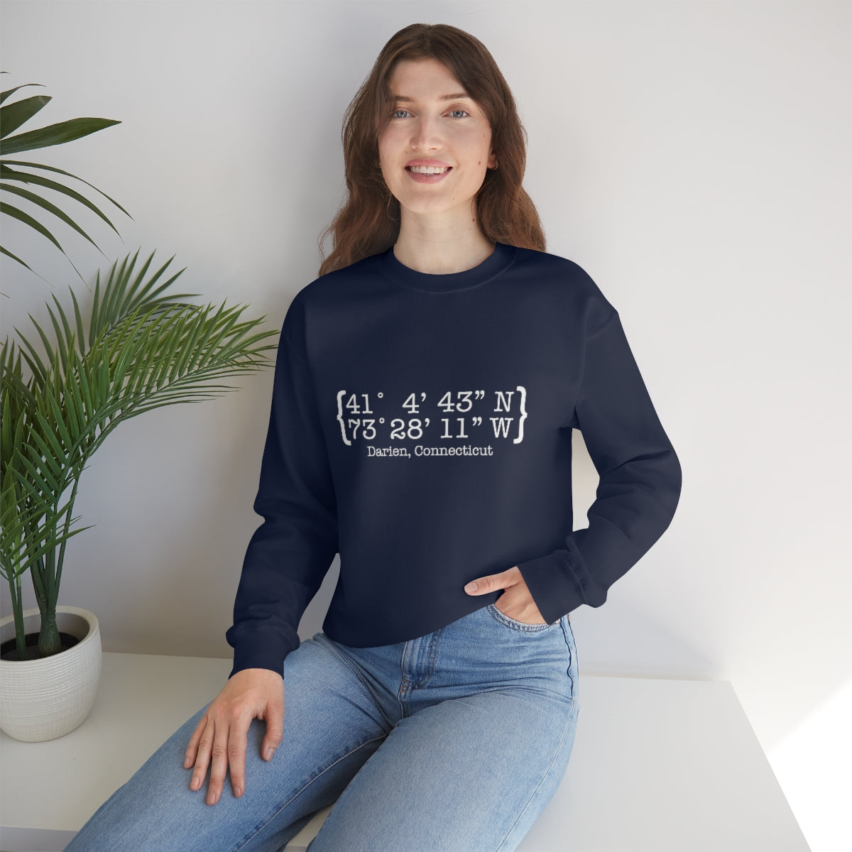 Darien Coordinates Unisex Heavy Blend™ Crewneck Sweatshirt