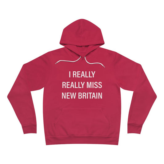 I Really Really Miss New Britain Unisex Sponge Fleece Pullover Hoodie