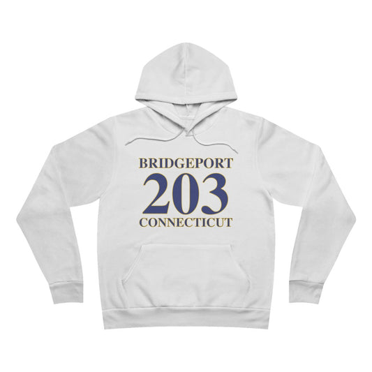 Bridgeport 203 connecticut unisex hooded sweatshirt hoodie