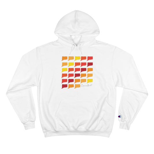 Connecticut Fall Do you love Connecticut and the fall season? These tee shirts, sweatshirts, stationary cards, drinkware and other gifts and souvenirs is for you. Free USA shipping on all products.  Proceeds go to help build Finding Connecticut's brand. 

Connecticut Fall // Connecticut  Champion hoodie sweatshirt /// finding connecticut