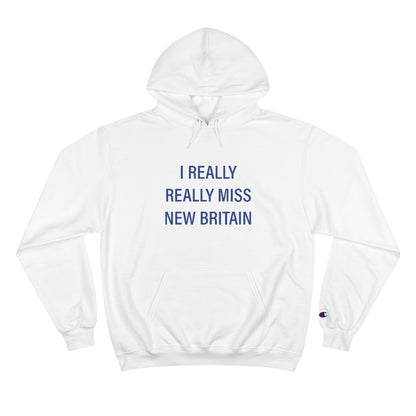 I Really Really Miss New Britain // new Britain connecticut hoodie sweathshirt // finding connecticut