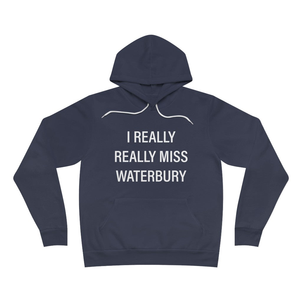 I Really Really Miss Waterbury Unisex Sponge Fleece Pullover Hoodie