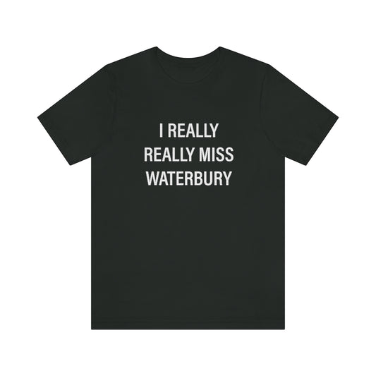 I Really Really Miss Waterbury Unisex Jersey Short Sleeve Tee