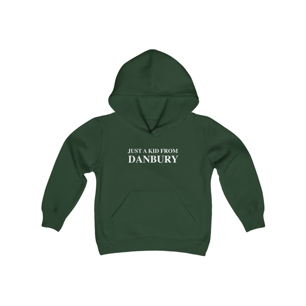 just a kid from danbury youth kids childrens hoodie