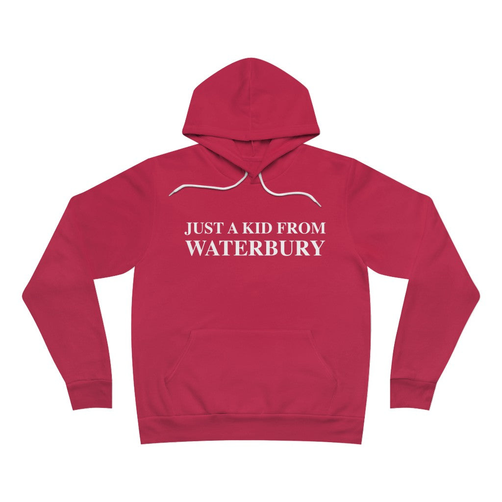 Just a kid from Waterbury Unisex Sponge Fleece Pullover Hoodie