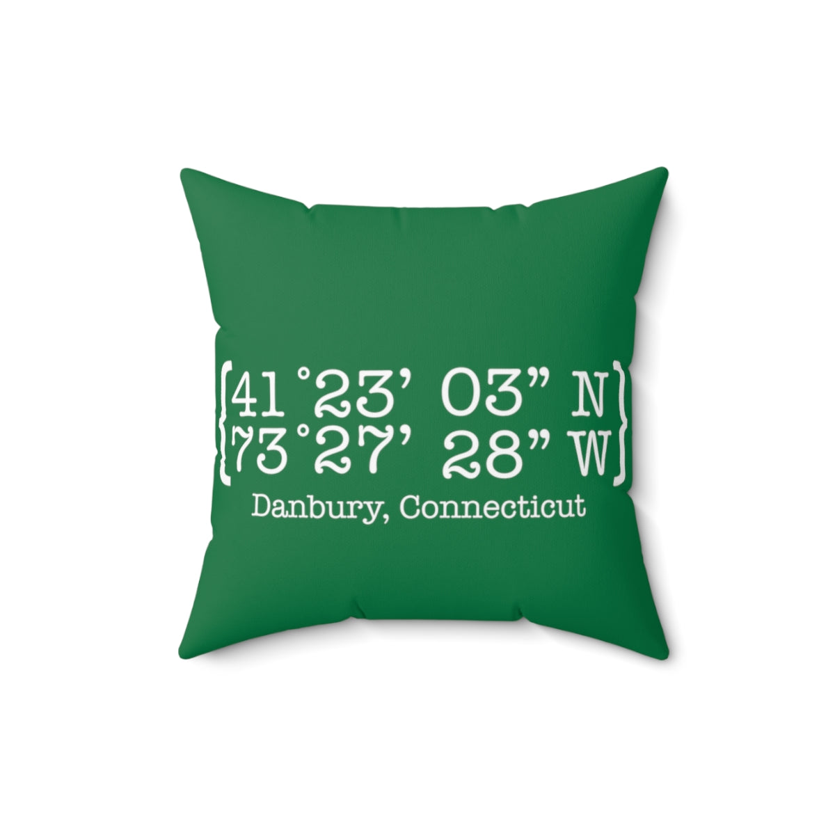 danbury coordinates pillow 