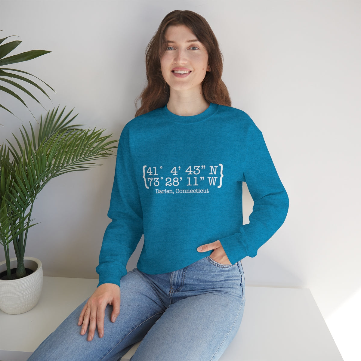 Darien Coordinates Unisex Heavy Blend™ Crewneck Sweatshirt