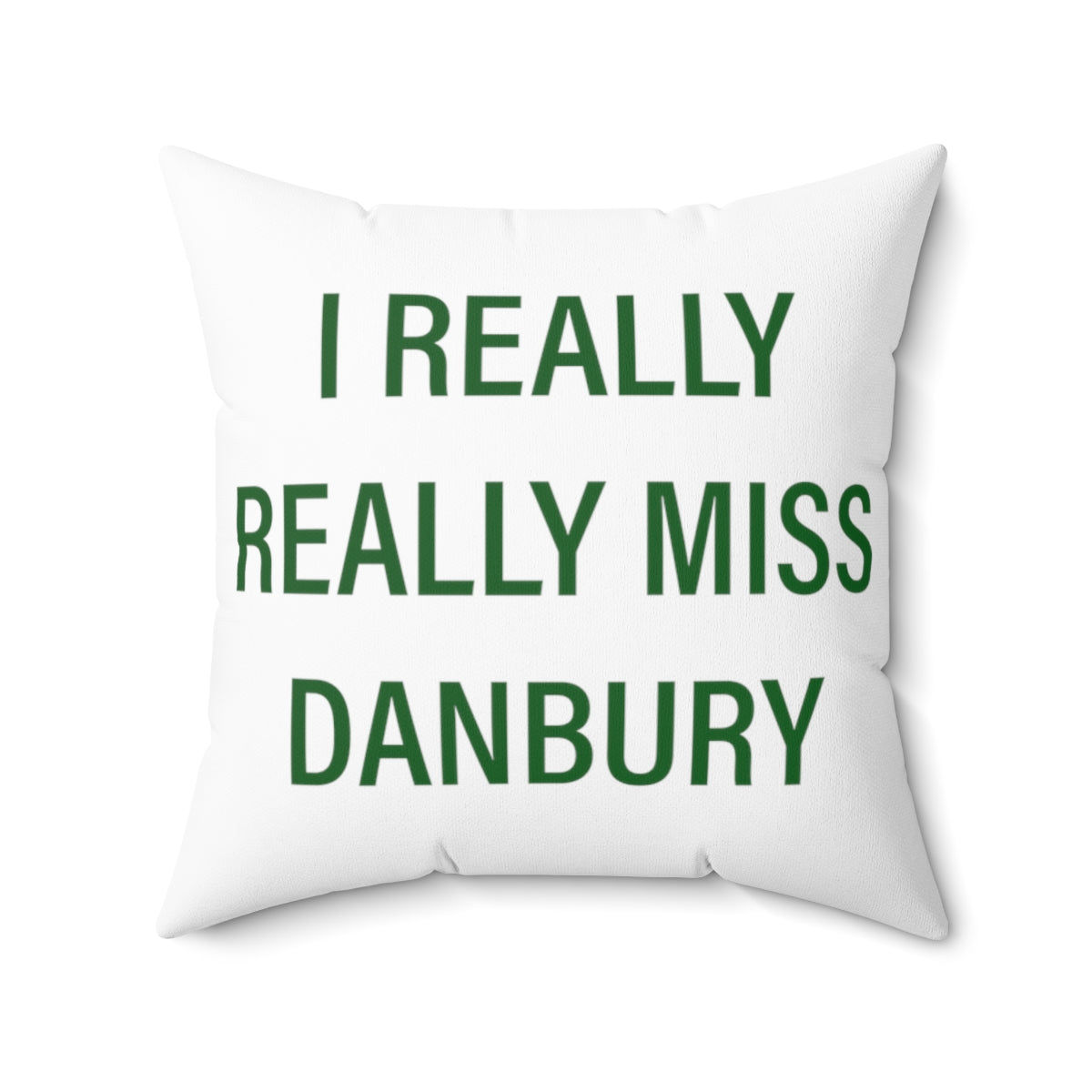 Danbury Connecticut pillow. I really really miss danbury pillow and home decor