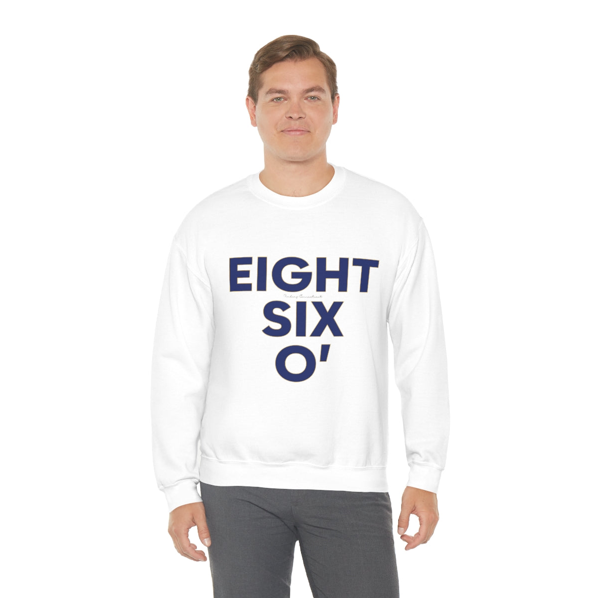 eight six o' 860 // connecticut unisex sweatshirt // finding connecticut 
