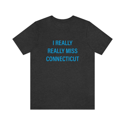 ct / connecticut unisex tee shirt 