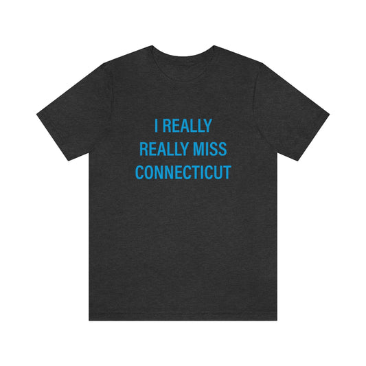 ct / connecticut unisex tee shirt 