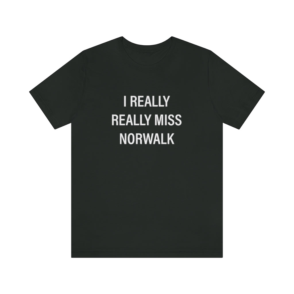 I really really miss Norwalk.  Norwalk Connecticut tee shirts, hoodies sweatshirts, mugs, other apparel, home gifts, and souvenirs. Proceeds of this collection go to help Finding Norwalk and  Finding Connecticut’s brand. Free USA shipping. 