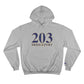 #thebridgeportlife hoodie ssweatshirt  Champion   // bridgeport ct • Finding Connecticut 